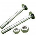 Cup Square Bolts M6