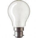 Standard Light Bulbs