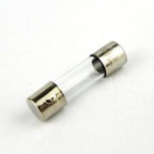 2A GLASS FUSE 250V FAST BLOW  