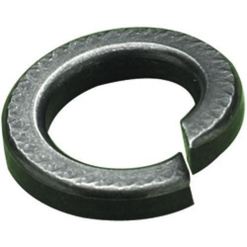 SPRING WASHER SINGLE COIL STANDARD M24 BZP