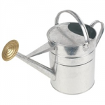 nla WATERING CAN 2 GALL GALV 4030
